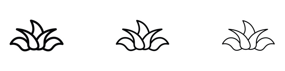 Aloe vera icon