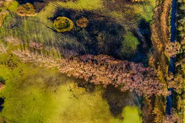 Paisaje natural captado desde un dron, donde se aprecia árboles, agua, manglares, vegetación posiblemente en una zona de humedales o laguna. La escena está bañada por una cálida luz 