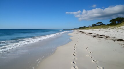 Obraz premium A scenic beach view with footprints in the sand leading toward the horizon