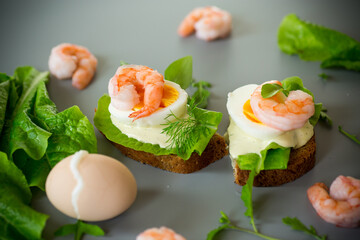 Sandwich with egg, lettuce and shrimp isolated on gray background