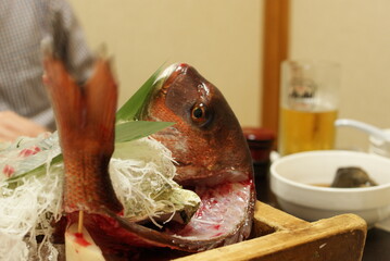 魚の頭を据えた生け造り刺身とビールが彩る和食の晩酌   © Naoto Iwashita