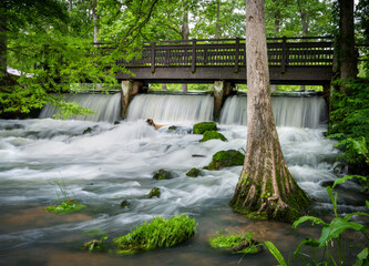 Maramec springs  stream and waterfalls in  the Ozarks of Missouri