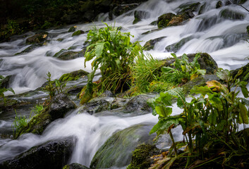 Maramec springs  stream and waterfalls in  the Ozarks of Missouri
