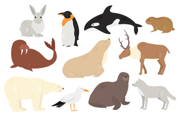 Cute Arctic Antarctica animals and birds vector illustration set. Cartoon white polar bear and wolf, emperor penguin, walrus orca whale seal collection of north nature fauna animals isolated on white
