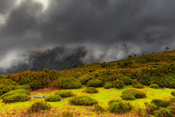 Piękny krajobraz górski na egzotycznej wyspie Maderze,  mglisty pejzaż, tło lub tapeta do projektu © anettastar