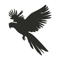 Fototapeta premium tropical parrot scarlet macaw flying shadow silhouette