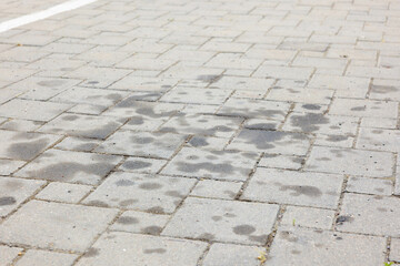Fototapeta premium Stains of motor oil on road outdoors, closeup