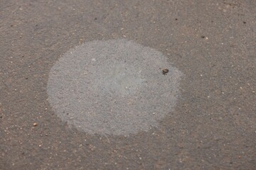 Stain of motor oil on asphalt, above view