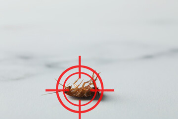 Dead cockroach with red target symbol on light surface, closeup. Pest control