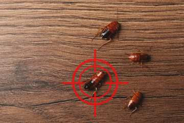Cockroaches and red target symbol on wooden surface, top view. Pest control