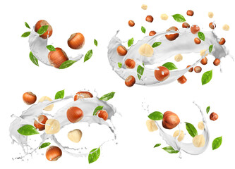 Nut milk splashes with hazelnuts and green leaves in air on white background, collage