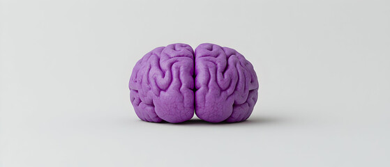 Purple Brain Model Isolated On Light Gray Background