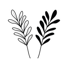 Botanical Illustration of Two Leaf Branches, Black and White Vector Art for Nature Designs