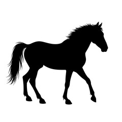 A striking silhouette of a majestic horse, showcasing its elegant form and powerful presence in a minimalist style.