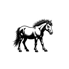 Obraz premium A black and white equine artwork. This artwork showcases a muscular horse, with great detail in its flowing mane and tail, suggesting strength, freedom, and elegance.