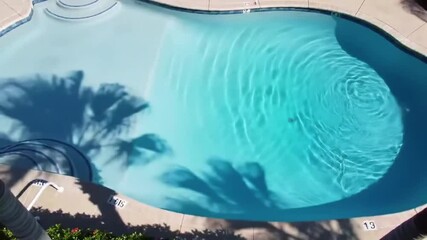 Dancing palm tree shadows on pool water under a sunny sky - Powered by Adobe