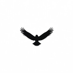Obraz premium Silhouette of a soaring bird (1)