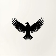 Obraz premium Silhouetted soaring bird