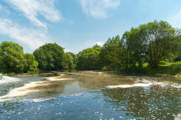 Sunny summer landscape on the lake. Reflection of the sky and clouds in the water. A valley of green trees on the shore of a lake. A concept for travel and camping.