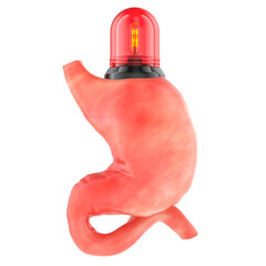 Stomach with alert beacon, health emergency and pain warning or urgent medical condition. 3D rendering isolated on transparent background