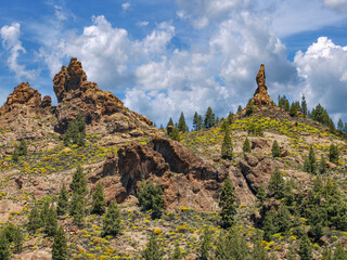 Naklejka premium Pico de las Nieves, Gran Canaria