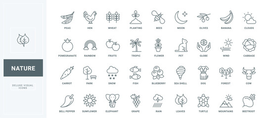 Cultivation of plants and wheat crop, protection of animals and insects thin black outline symbols vector illustration. Save nature and ecology, environment and weather line icons set.