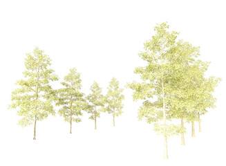 Obraz premium Various types of tree branch plants bushes shrub and and small plants isolated