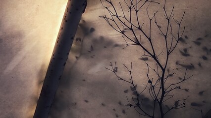 Bare Tree Branch Silhouetted Against Textured, Backlit Surface