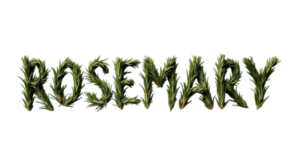Creative lettering made from dried rosemary needles spells out the word rosemary in a decorative arrangement on a white background
