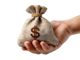 bag with money