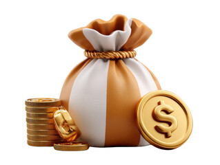 money bag with money