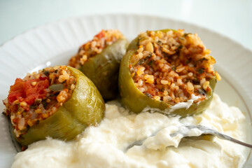 Close-up of local Turkish dish minced meat stuffed dolma