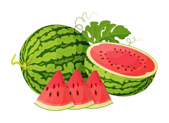 Red watermelon whole, half, cut into wedges and green leaves. Botanical fruit Hand drawn trendy flat style isolated icon on a transparent background for card design, print, banner, packaging, label
