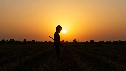 Child silhouette at sunset in a field, World Day Against Child Labour