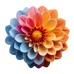 Obraz premium Un flor color en fondo blanco