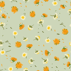 vintage dry chamomile and calendula tea in seamless pattern