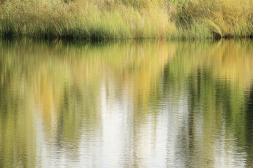Obraz premium reflection in water