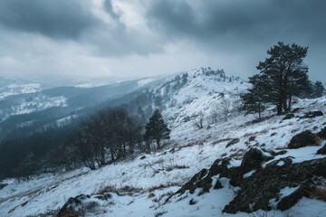 Snowy Mountain Landscape with Trees and Cloudy Sky