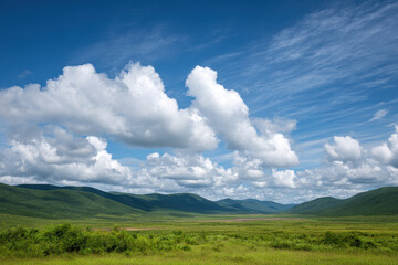 Fototapeta premium green field and blue sky