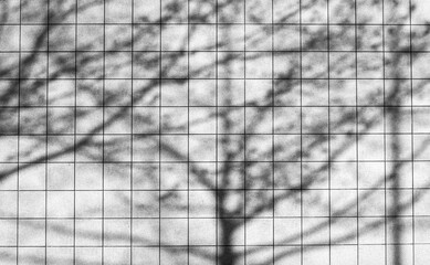 White square tiles with abstract shadows of trees background texture.