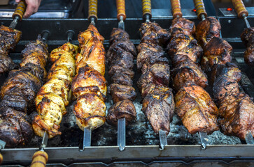 Juicy skewers of beef and poultry being barbecued on a grill, showcasing delicious roasted flavors. Ideal for social gatherings, picnics, and outdoor cooking atmospheres