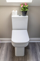 Modern White Toilet with Toilet Roll and Pink Flowers on Top in Clean Bathroom