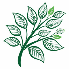 Stylized Green Branch with Leaves Vector Illustration
