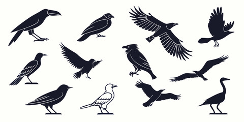 Obraz premium Silhouette set of flying birds in various poses and species