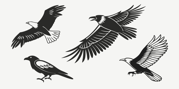 Soaring Skies: An artful monochrome rendering of four avian forms takes flight, evoking the majesty and grace of birds in their natural habitat, celebrating the elegance of these creatures.