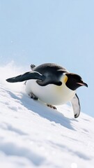Obraz premium A penguin walking on snow