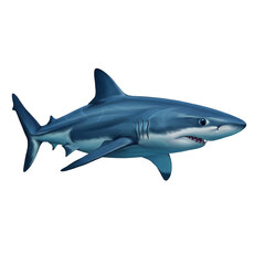 Obraz premium Illustration Of A Great White Shark A Marine Animal With Transparent Background