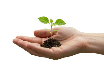 Illustration of Sapling in Hand Holding Soil Symbolizing Growth and Nurturing