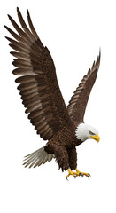 Fototapeta premium Illustration of Majestic Bald Eagle in Flight Against Transparent Background
