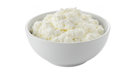 Isolated Close Up Bowl of White Cottage Cheese Dairy Food